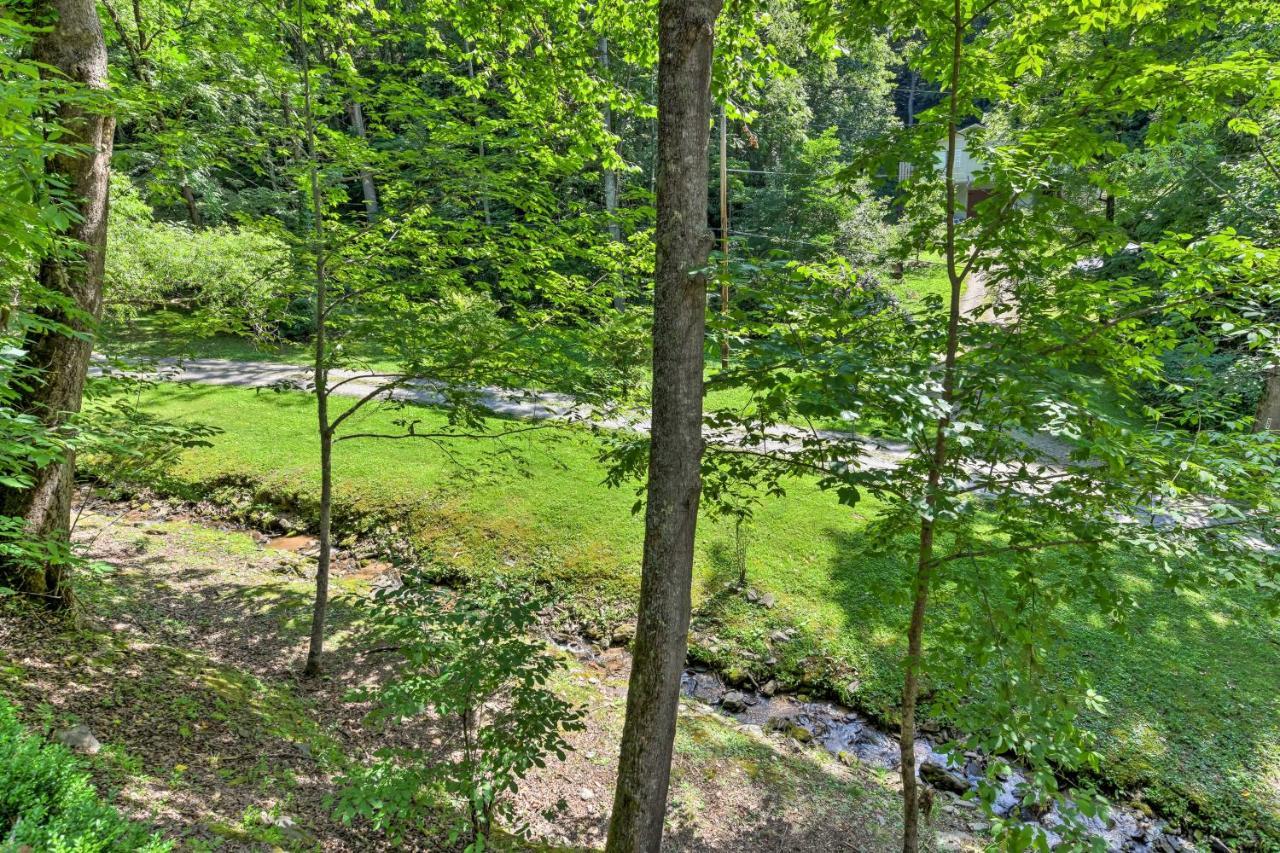 Tranquil Creekside Cottage With Deck And Lanai Franklin Zewnętrze zdjęcie
